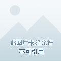超级修真弃少