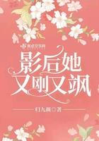 丹师剑宗